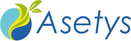 cropped-Logo-ASETYS-fond-transparent-459-80-24062022