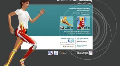Anatomie-en-3d