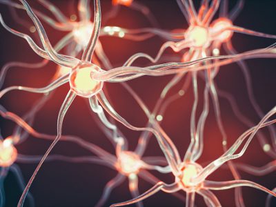 Connected nerve cells scientific background.