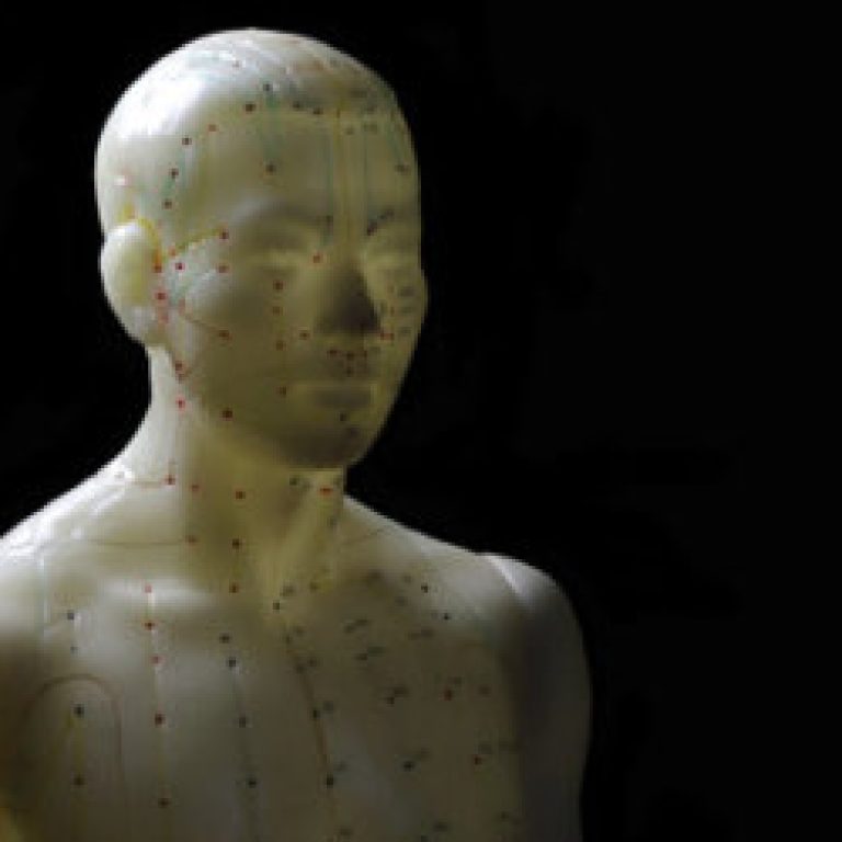 bwylezich201200022-400x250