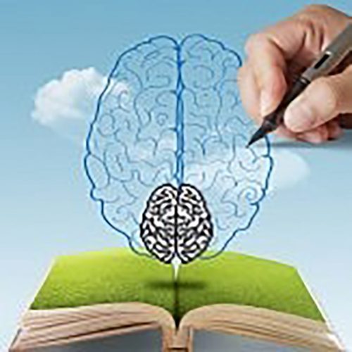 imgi_10_Les-Cles-du-Cerveau copy